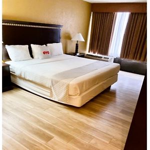 Premium King Bed