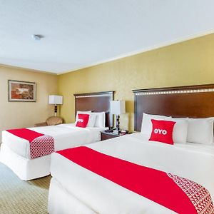 Premium 2 Queen Bed